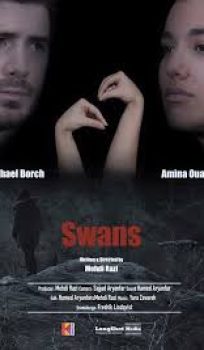 Swans