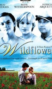 Wildflower