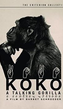 Koko, le gorille qui parle (en. Koko: A Talking Gorilla)